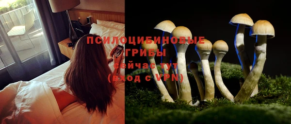мяу мяу кристалл Бугульма