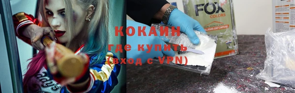 мдпв Богородицк