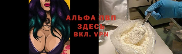 мдпв Богородицк