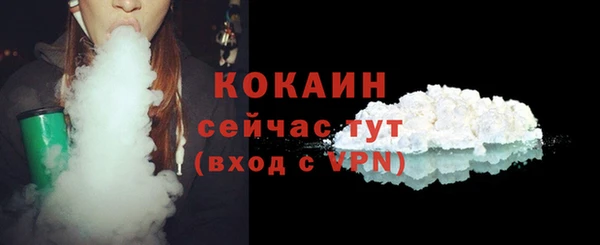 мдпв Богородицк
