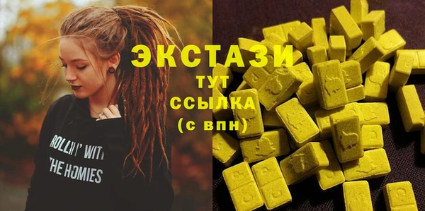 мдпв Богородицк