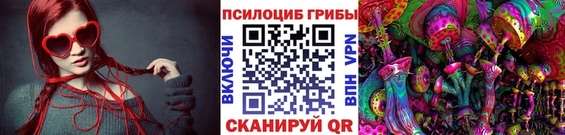 купить  сайты  Северск  Галлюциногенные грибы GOLDEN TEACHER 